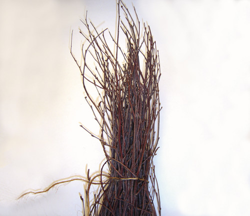 3-4ft Dried Natural Birch Branch