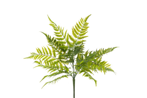28in Boston Fern Bush x7