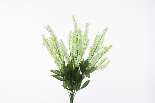 Astilbe Bush x12 - White