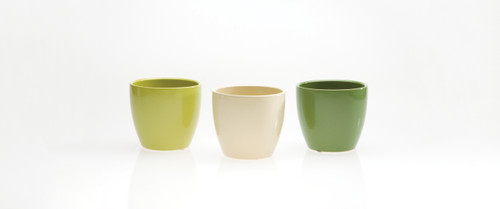 4.5in Tall Colorful Ceramic Pots - Kiwi Moss Cream (Assorted)