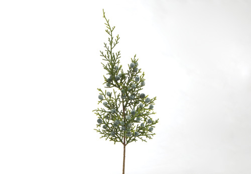 12in Oregon Juniper Spray (Bag of 12)