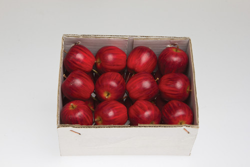 42mm Country Apple on Wire - Red Green (24pk)