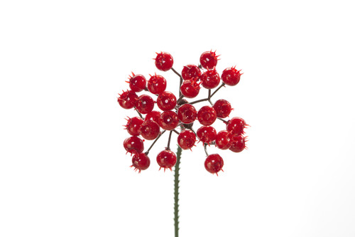 8in Red Berry Cluster x27 (12pk)