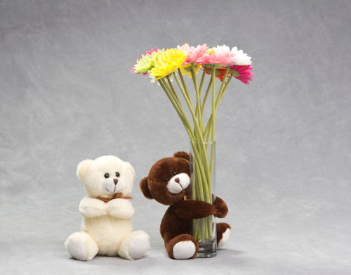 6in Tall Petey Bears with Ribbons Plush  Vase Hugging (Assorted)