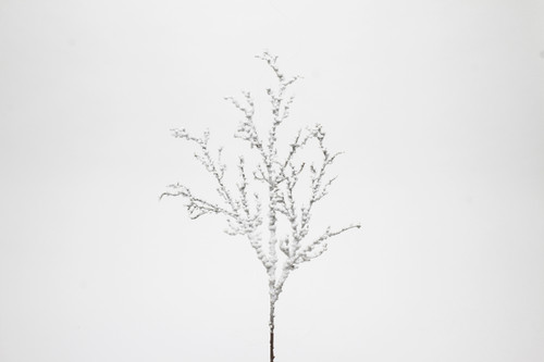 19in Iced Glitter Twig Spray x3 - Brown