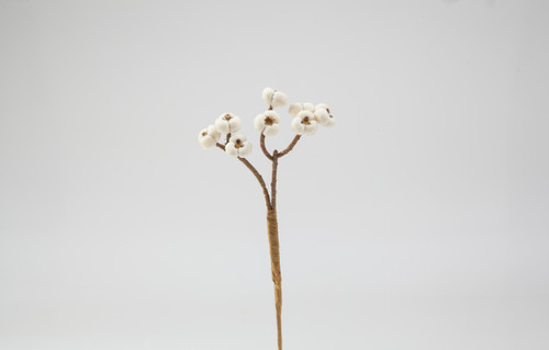 6in Tallow Berry Pick x8 - White (48pk)