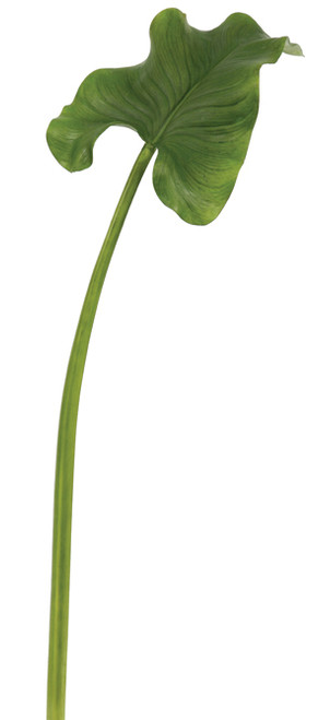 35.5in Calla Lily Leaf