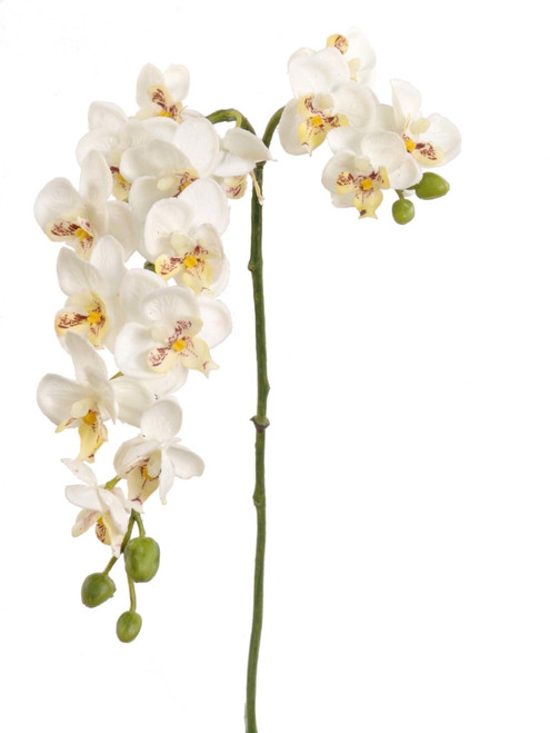 22in Dancing Orchid - White