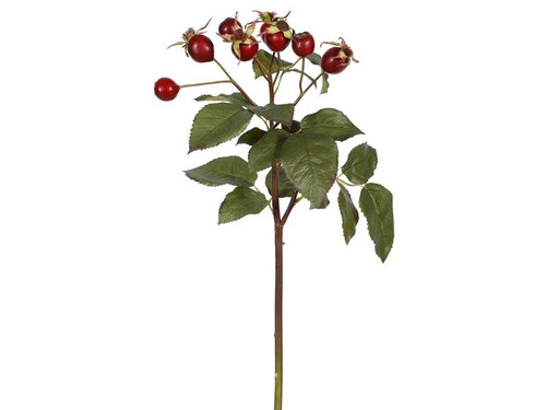 18in Rose Hip Spray - Red