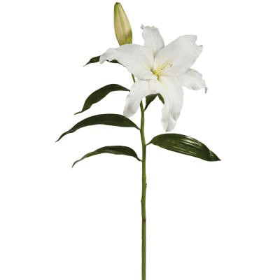 27in Casablanca Lily - White