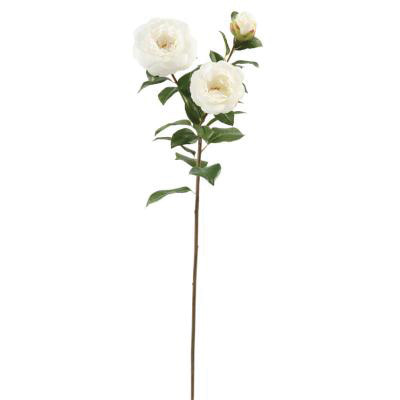 29in Camellia x3 - White