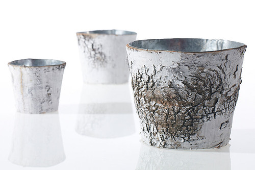 5in Wide Birch Tree Pot Cover Basket