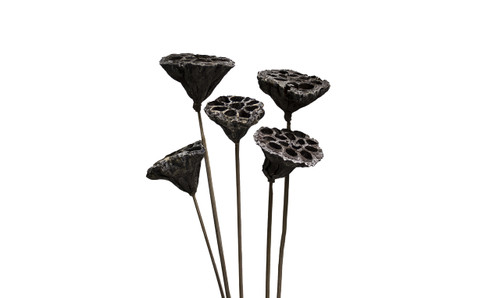 18in Lotus Pod on 18in Stem - Natural (5pk)