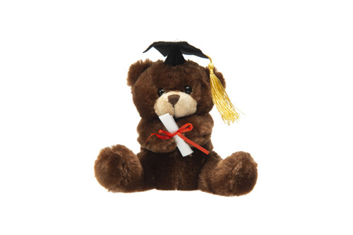 6in Tall Graduation Bears with Hats and Diplomas Plush  Vase Hugging (Assorted)