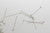 1.5in Pearl Head Boutonniere Pin (Box of 144)
