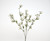 28in Dogwood Bush - White