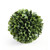 7.5in English Boxwood Ball