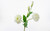 24.5in Real Touch Lisianthus Spray