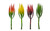 12in Pencil Succulent Pick - Red Yellow Orange (Assorted)