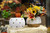 6.5in Wide Pumpkin Ceramic Pot - Ivory & Gold