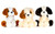 9in Tall Dogs Plush (Assorted)