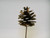 2.5in Bulk Pine Cone Pick - White Tip (144pk)