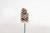 4in Loblolly Pine Cone Pick - White Tip (50pk)