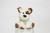 9.5in Tall Scruffy Sitting Dog Plush
