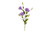 30in Lisianthus x4 - Purple