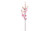 31.5in Quince Blossom - Pink