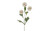 27in Scabiosa Seed Pod Spray x3 - White