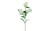 28in Alstroemeria Spray - White