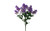 Lilac Bush x11 - Purple