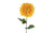 29.5in Mum Stem - Yellow