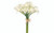 14in Calla Lily (Bundle of 9) - White