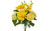 Dahlia Hydrangea Delphinium Bush - Yellow