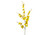 37in Dancing Orchid Spray - Yellow