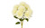 16in Mum Bush x9 - Cream Yellow