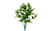 Sweetheart Rose Gypsophelia Bush - White
