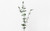 35in Glitter Snow Eucalyptus Spray x3 - Green White