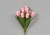 19in Tulip Bush x12 - Pink