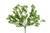 Celery Greenery x18 - Waterproof