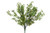 Mini Angel Wing Fern x18 - Waterproof
