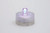24hr FloraLyte Submersible Lights (Pack of 10) - Purple