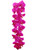 49in Hanging Phalaenopsis Orchid - Fuchsia