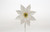 6.5in Plastic Poinsettia Pick with Barbed Stem - White (Bulk)