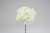 19in Hydrangea Stem - White