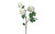 33in Snowball Hydrangea x3 - White