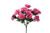 American Heritage Rose Bush x12 - Pink