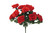 American Heritage Rose Bush x12 - Red